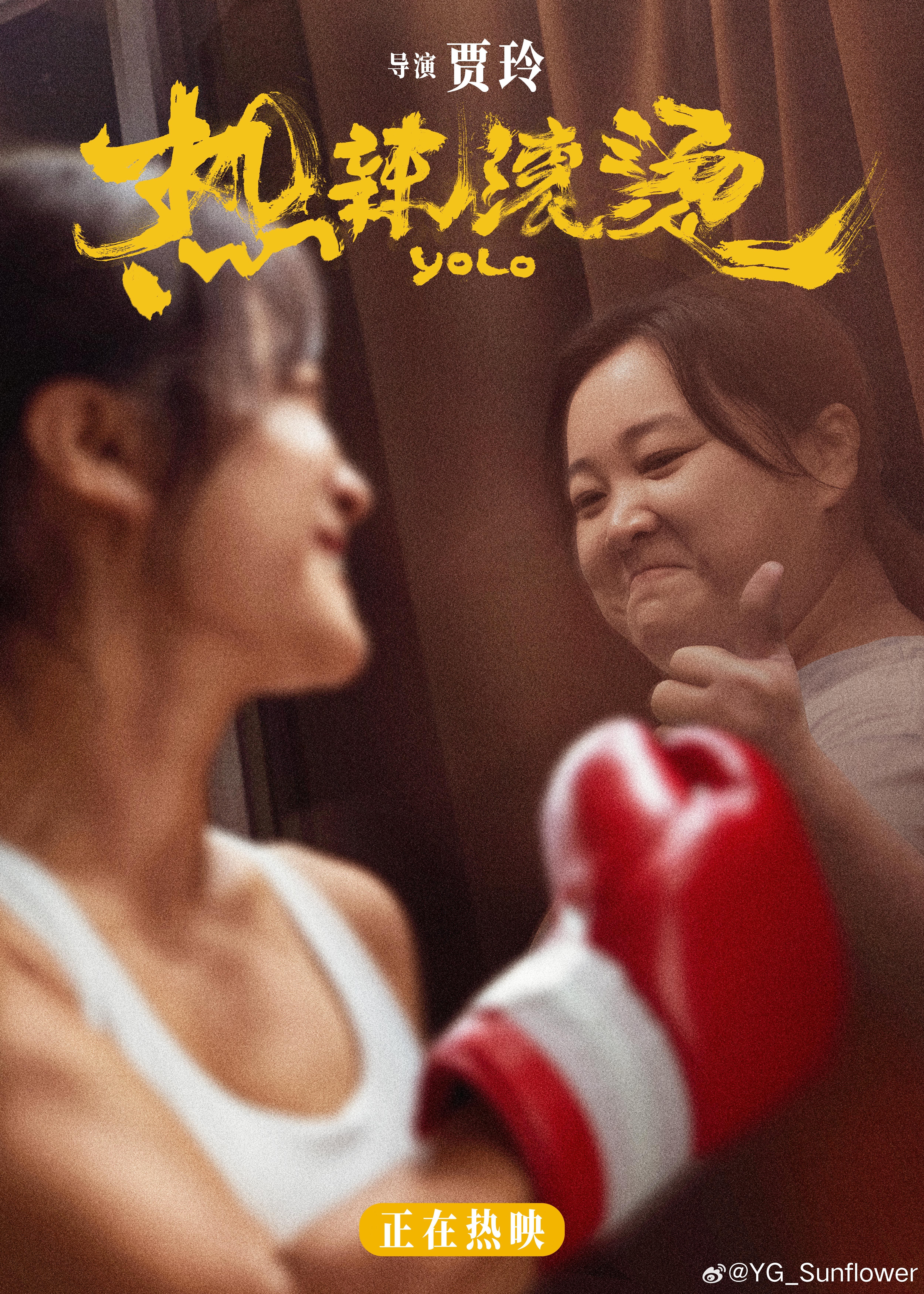 一本色道久久综合狠狠躁篇:03-06-12-20-21-44S：16,探索本色道，一本综合狠狠躁篇的独特魅力