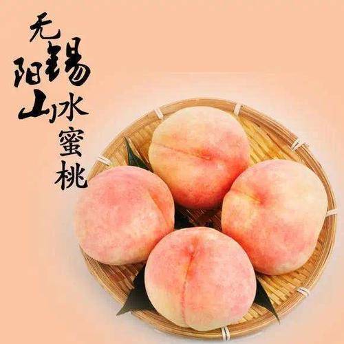 水蜜桃国产精品欧美日韩一区不卡:01-13-25-34-37-48T：25,探索全球影视文化，水蜜桃国产精品与欧美日韩一区的不卡魅力