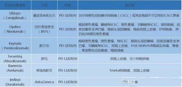 国产精品久久久久久NⅤ下载编辑:16-19-31-38-46-48Q：16,国产精品影视资源长久发展与共享编辑策略，下载编辑指南与深度探讨（附下载链接）