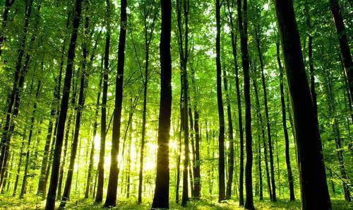 天天日天天谢天天视2019天干:02-11-18-23-46-47E:09,天天日天天谢天天视——探索2019年特定日期背后的故事与意义